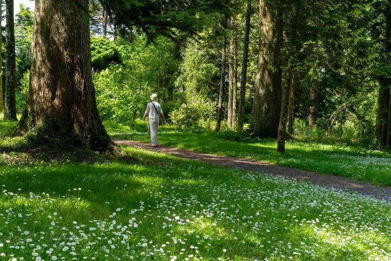 Beginner Guide to Mindful Walking: Steps to Calm and Clarity